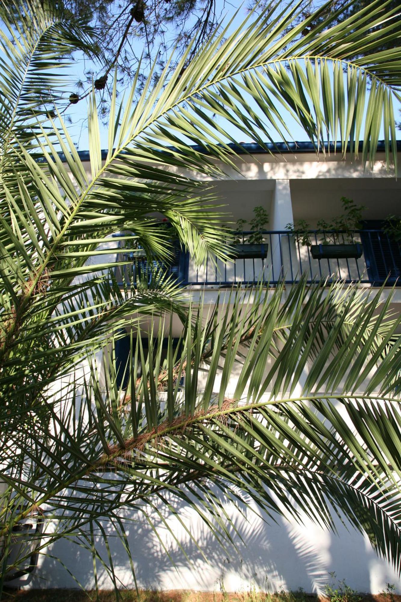 Hotel Sali Ngoại thất bức ảnh